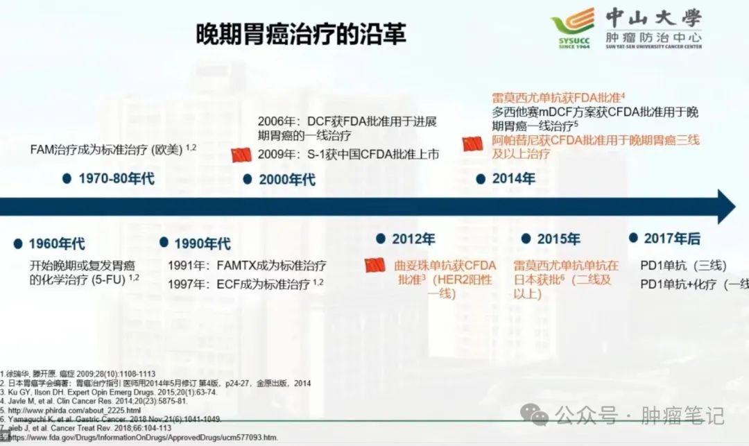 胃病疫苗最新进展揭秘，突破性研究引领未来治疗新篇章