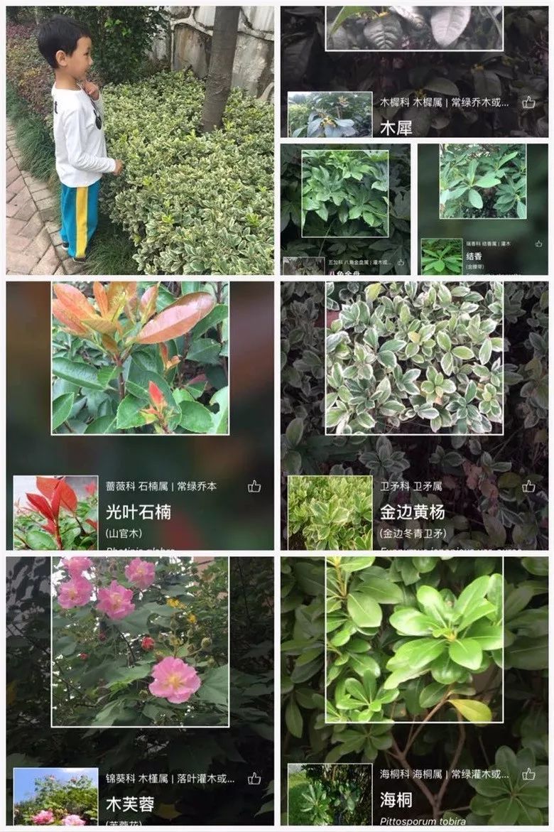 探索自然