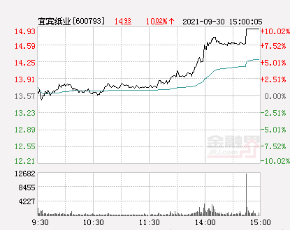 宜宾纸业最新动态更新，最新消息汇总
