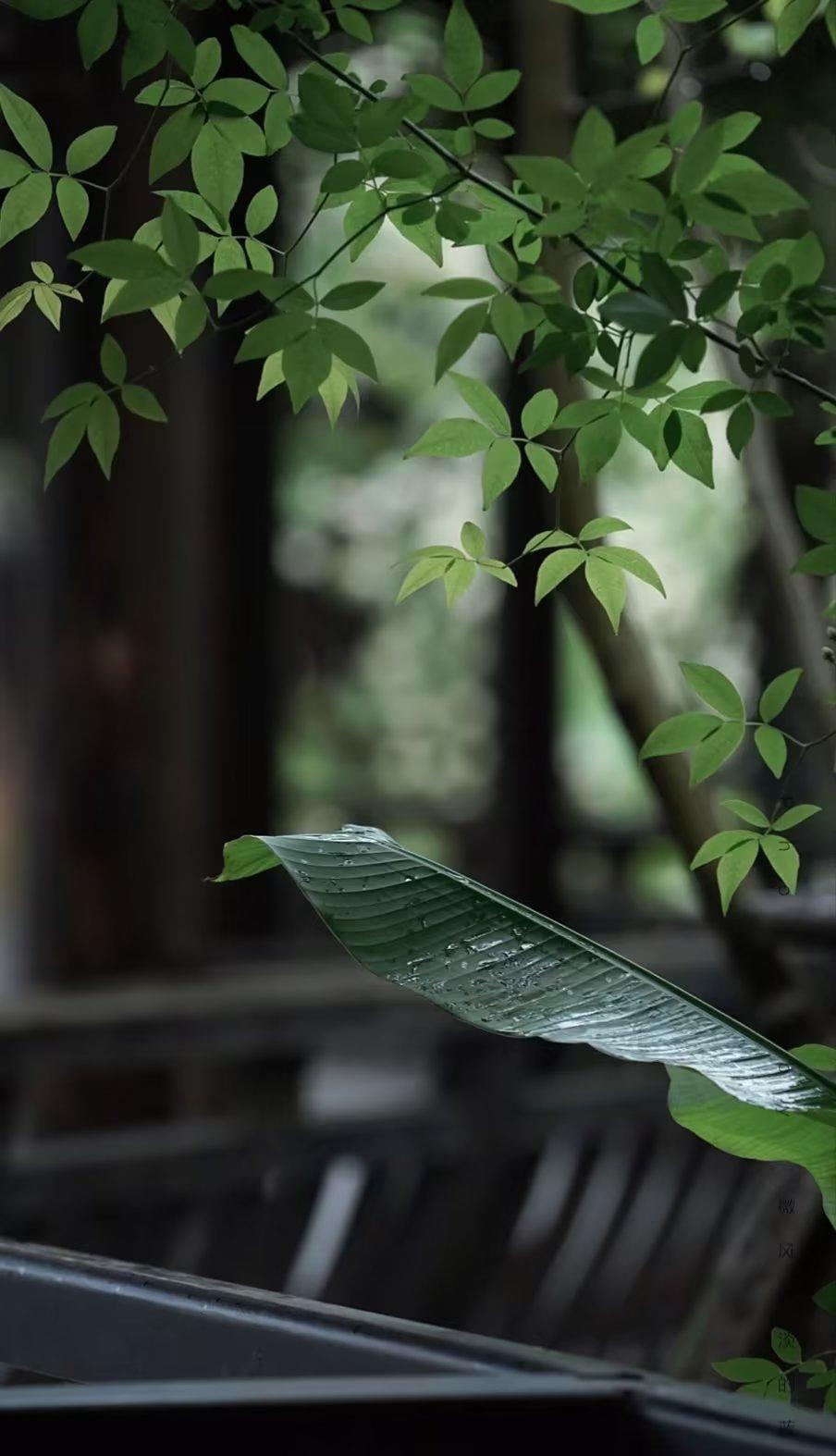 乡村医生的最新风采，田野上的生命守护者✨