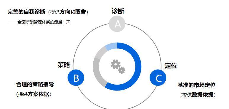 关于最新T66Y的探讨，深度分析及其要点解析
