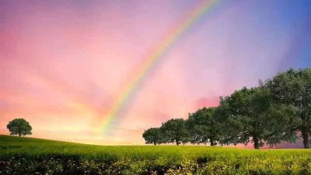 探索自然美景 第6页