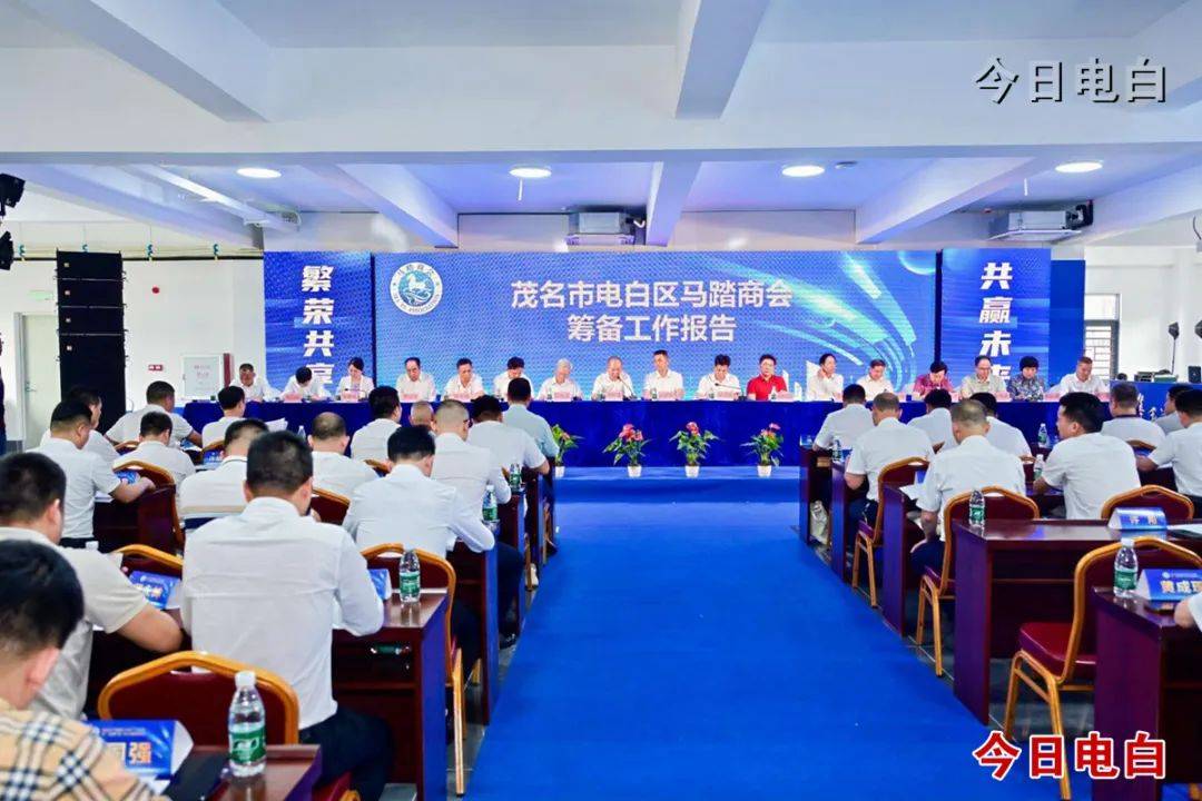 电白新闻最新动态，热点资讯一览✨📢