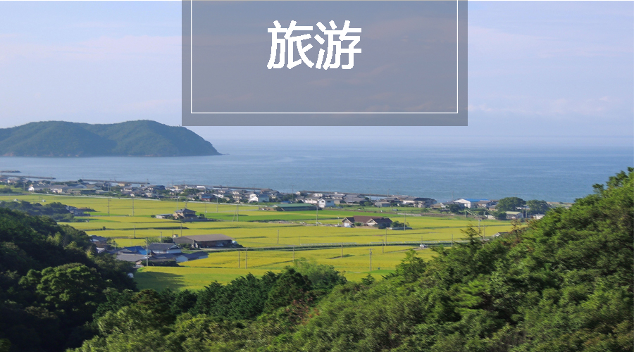 先达股份，自然美景的探索之旅，心灵洗涤与重生最新消息