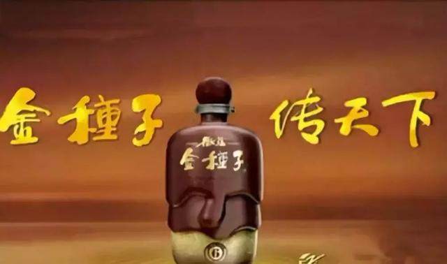 金种子酒，传承与创新共融的酒业典范，最新消息一览