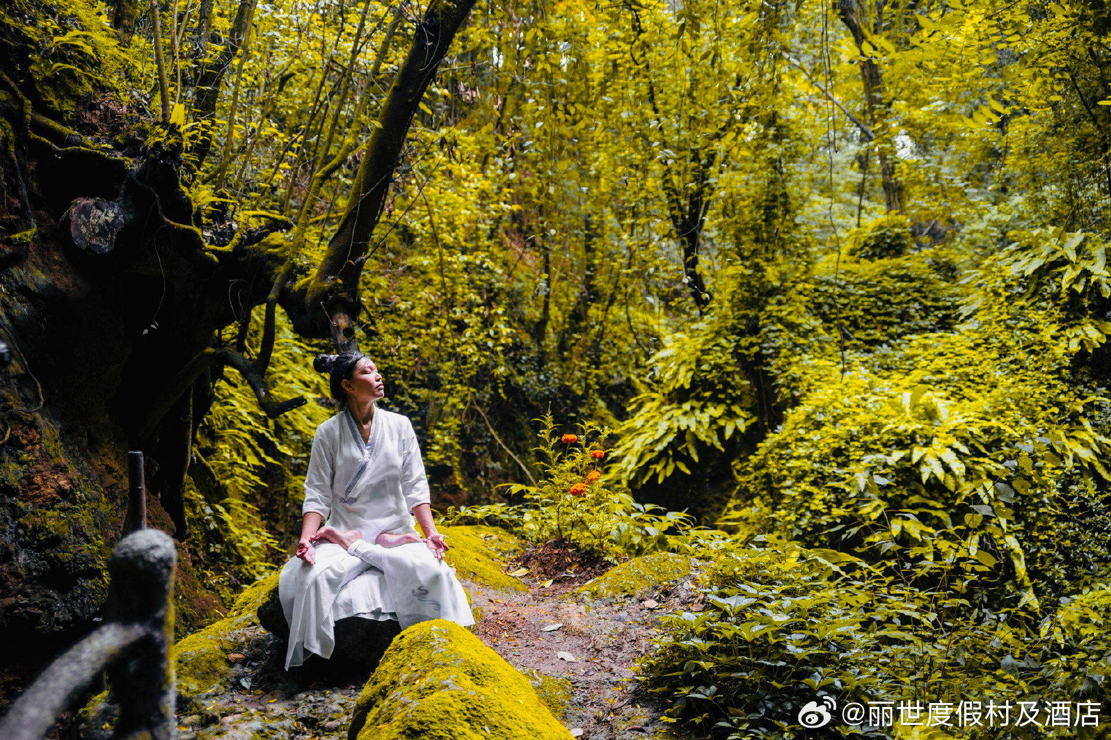 探索自然美景之旅，最新视频带你领略自然之美，寻找内心的平和宁静