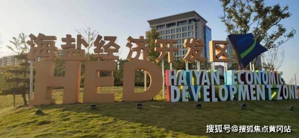 崽崽最新版本