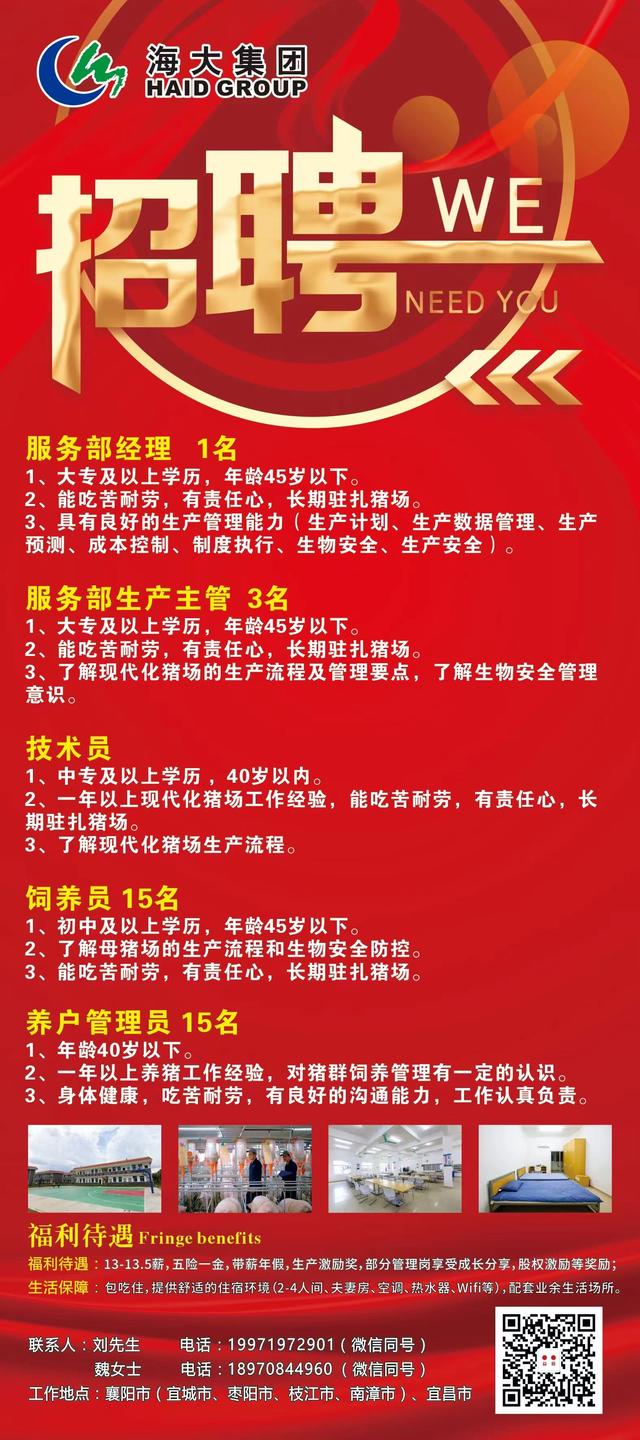 松滋最新招聘启航，开启职业新篇章！