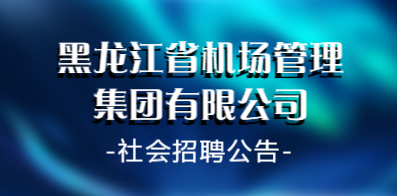 哈市最新招聘信息深度解析