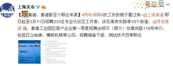 青浦最新招聘信息及其影响力，一种观点解析